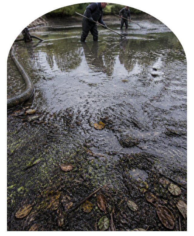 Очистка пруда в Элисте от ила мусора и водорослей с вывозом